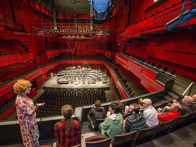 Harpa Guided Tours - Behind the Scenes