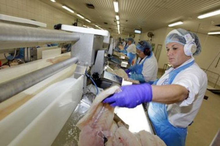 Fish processing will be severely affected by SGS strike action today and tomorrow.